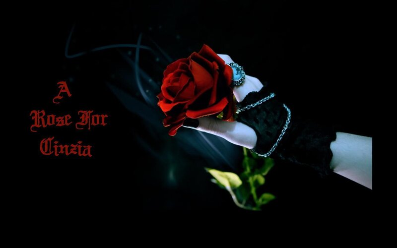Hand Holding Red Rose — Black