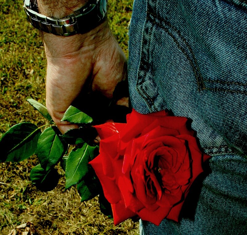 Hand Holding Red Rose — Calm, Afternoon