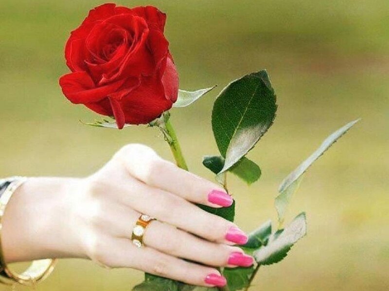 Hand Holding Red Rose — Calm, Photograph, Ring, Nail Polish
