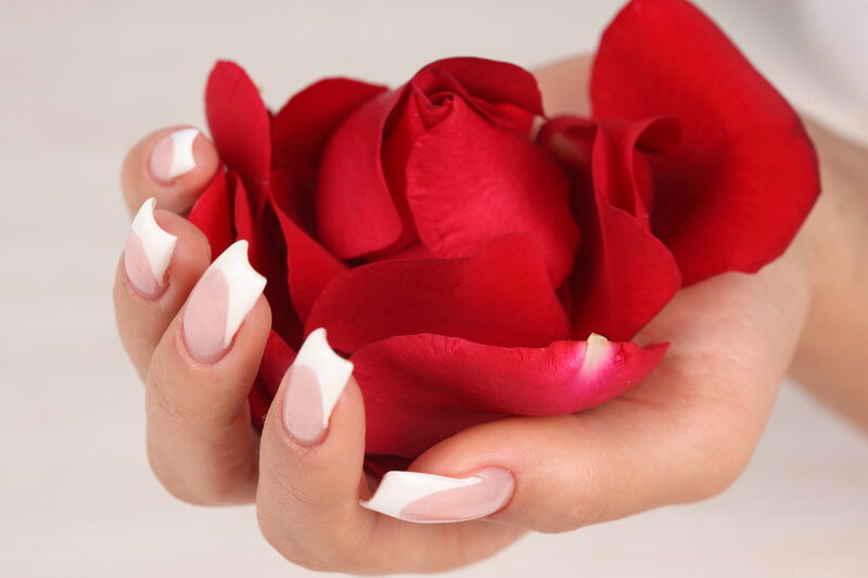 Hand Holding Red Rose — Calm