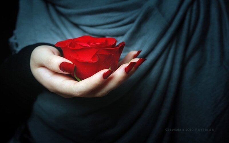 Hand Holding Red Rose — Dramatic, Photograph, Nail Polish, Cloth