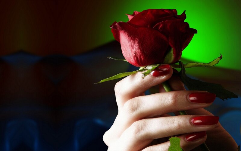 Hand Holding Red Rose — Dramatic, Photograph, Nail Polish, Green Light