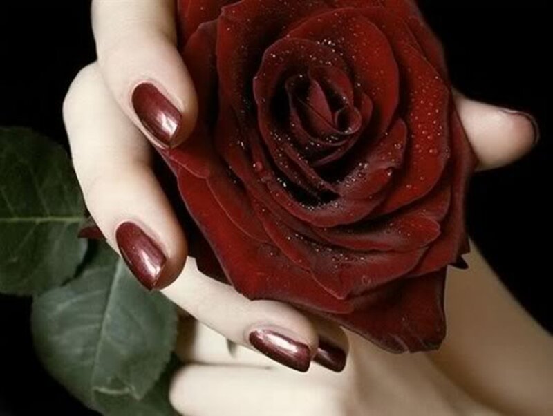Hand Holding Red Rose — Dramatic, Photograph, Nails, Leaf