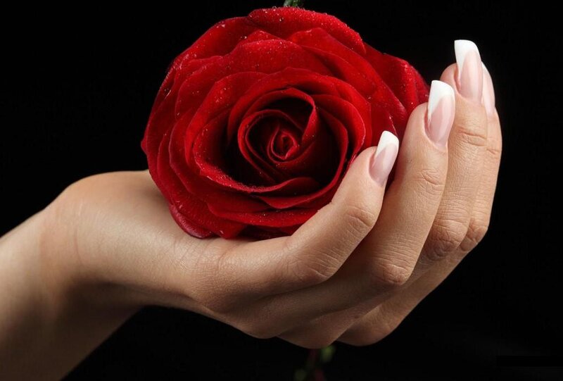 Hand Holding Red Rose — Dramatic, Photograph, Nails