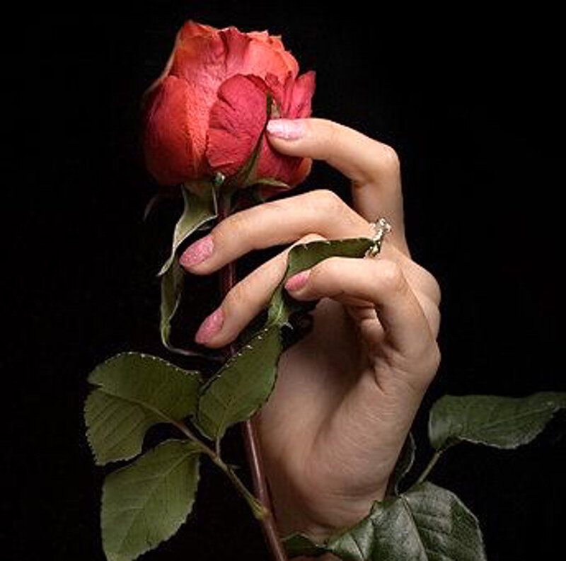 Hand Holding Red Rose — Dramatic, Photograph, Ring, Nail Polish