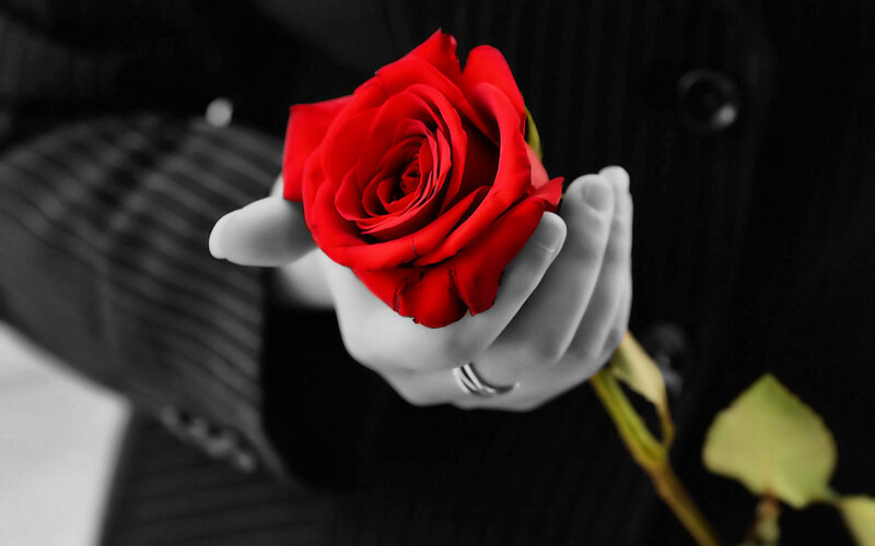 Hand Holding Red Rose — Dramatic, Photograph, Ring