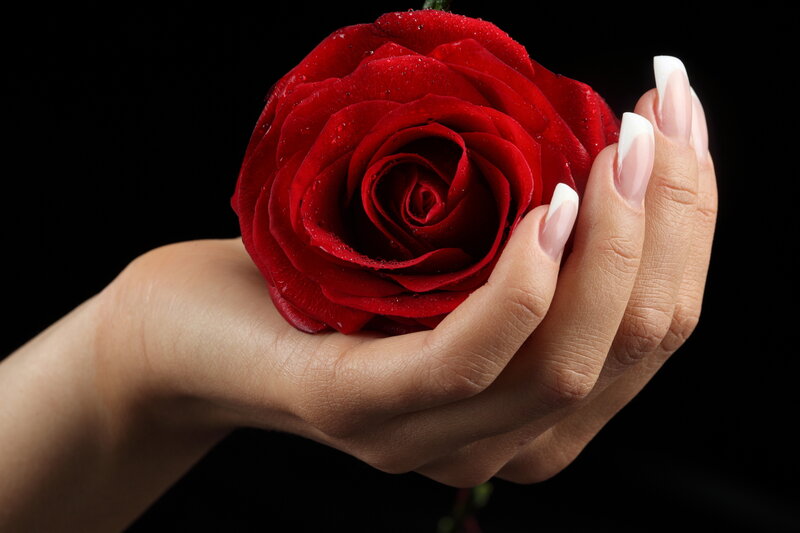 Hand Holding Red Rose — Dramatic