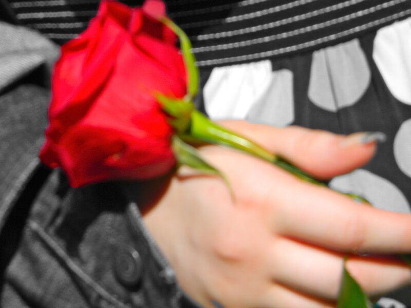Hand Holding Red Rose — Romantic