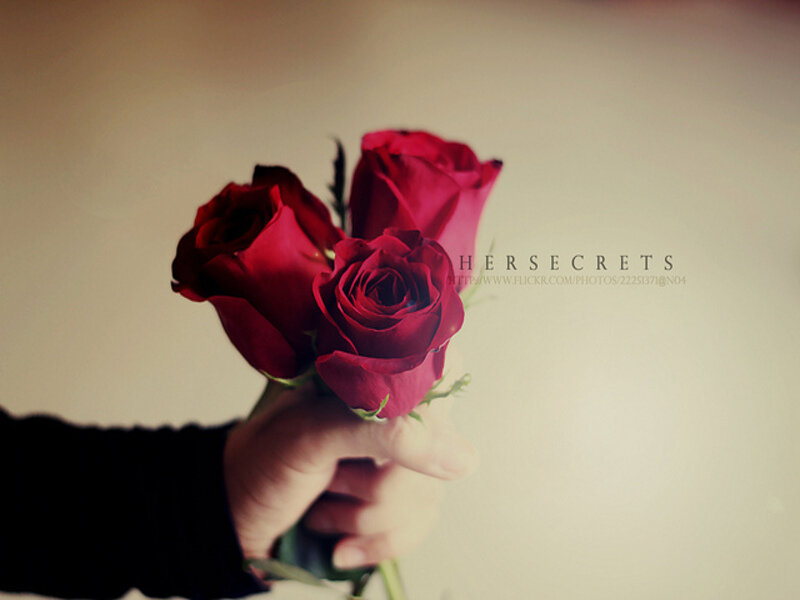 Hand Holding Red Roses