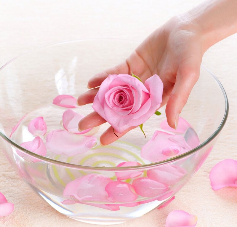 Hand Holding Rose in Water
