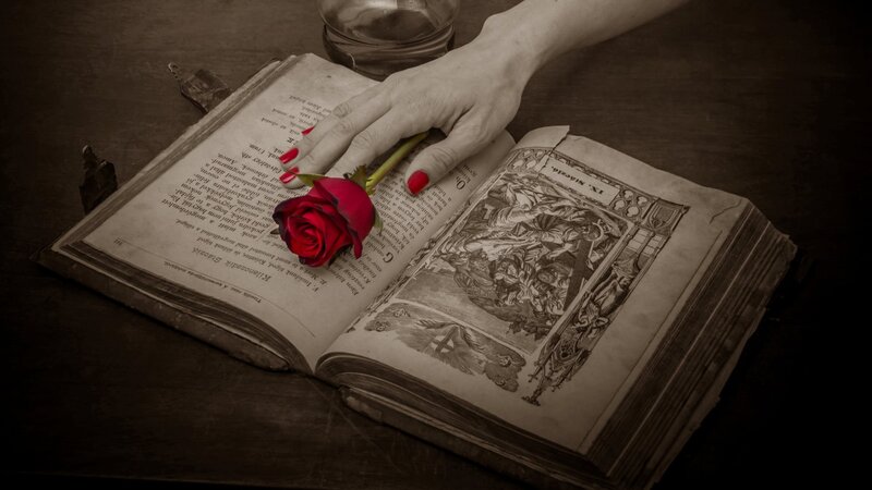 Hand Holding Rose on Book — Brown, Dramatic