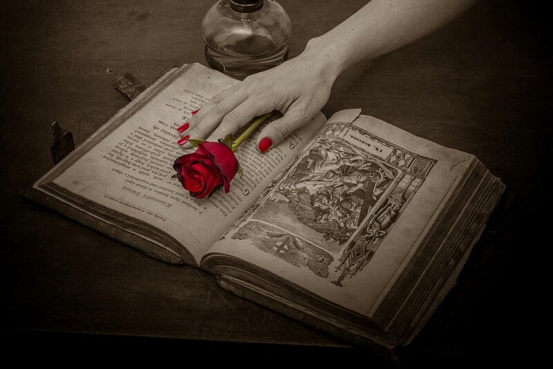 Hand Holding Rose on Book — Brown