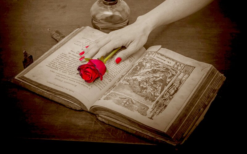 Hand Holding Rose on Book