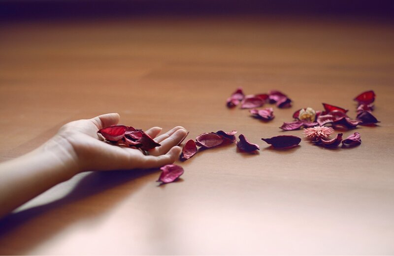 Hand Holding Rose Petals — Brown