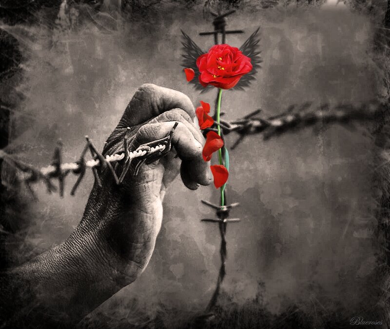 Hand Holding Rose — Red, Dramatic, Digital Art