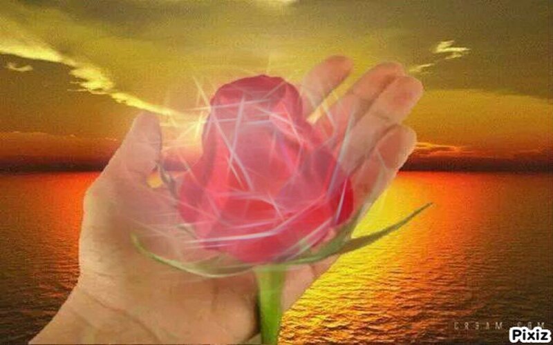 Hand Holding Rose — Red, Dramatic, Sunset
