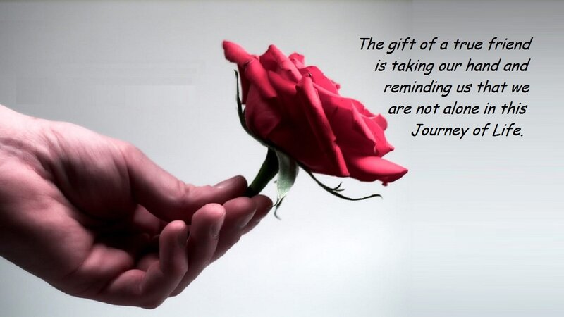 Hand Holding Rose — Red, Sentimental