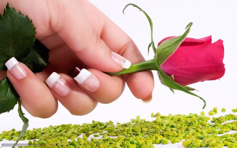 Hand Holding Rose — White, Serene