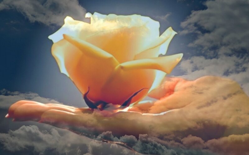 Hand Holding Rose — Yellow, Dramatic