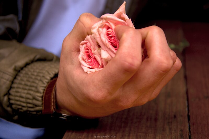 Hand Holding Roses — Pink