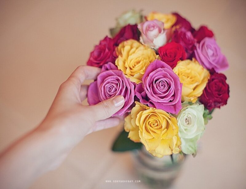Hand Holding Roses