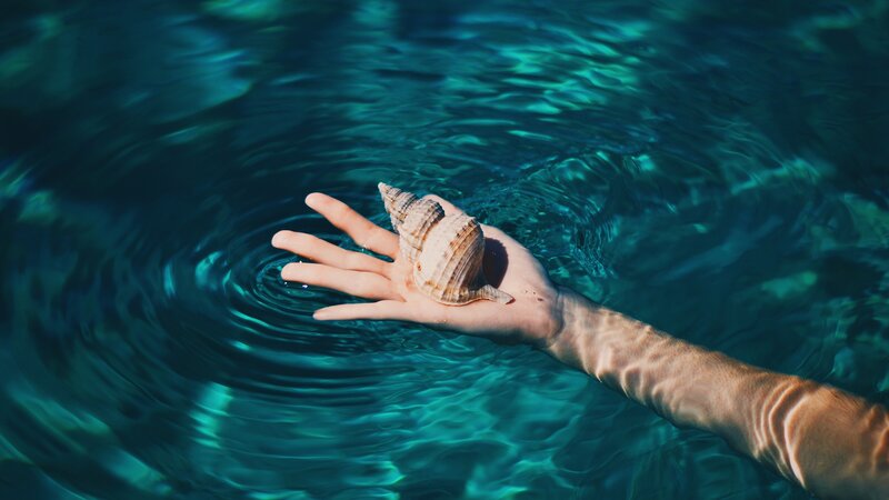 Hand Holding Seashell