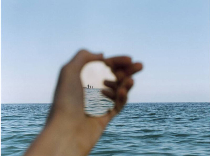 Hand Holding Shell