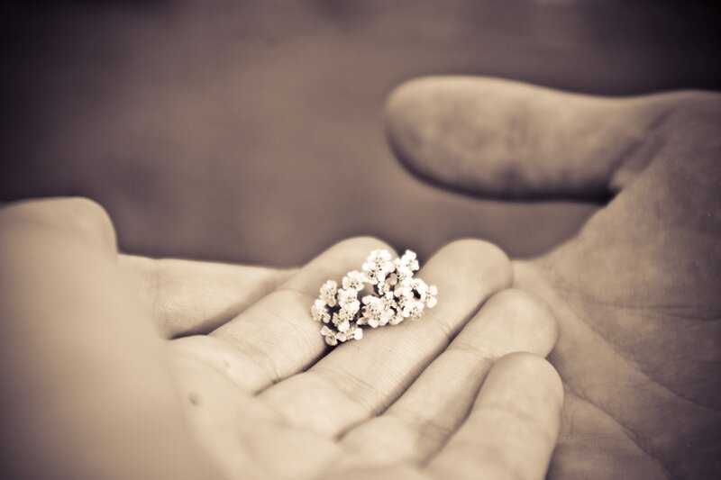 Hand Holding Small Flowers — Brown