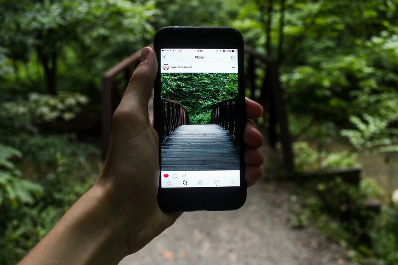Hand Holding Smartphone — Green, Serene