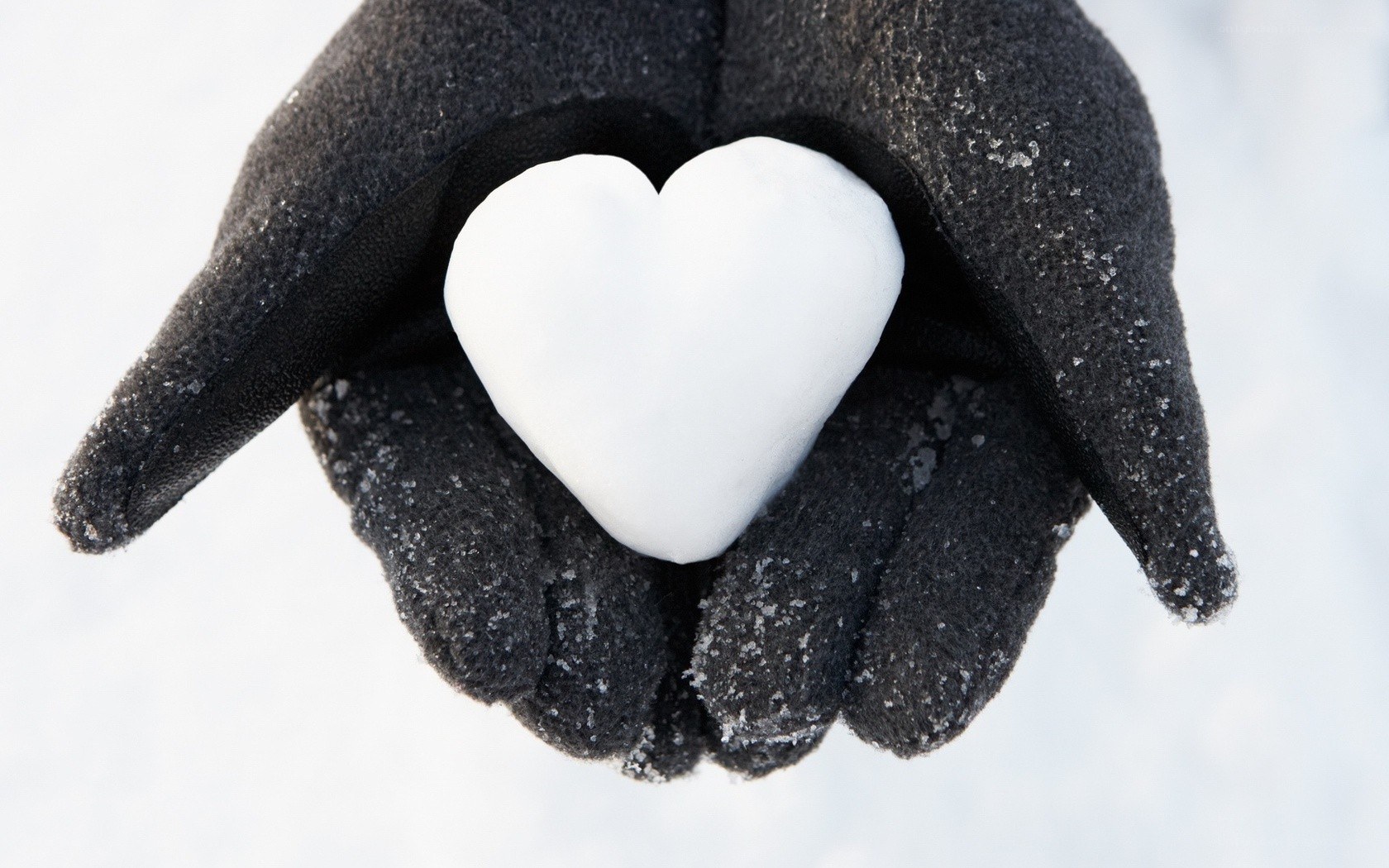 hand holding snow heart