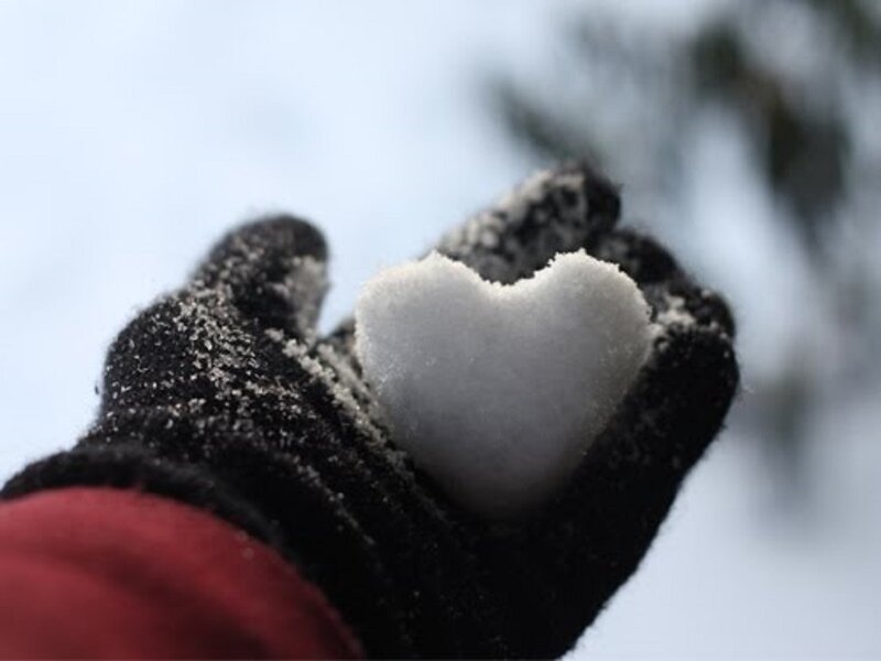 Hand Holding Snow Heart — Black