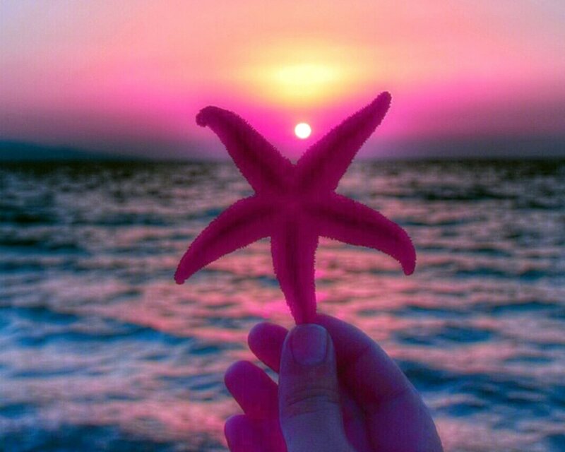 Hand Holding Starfish
