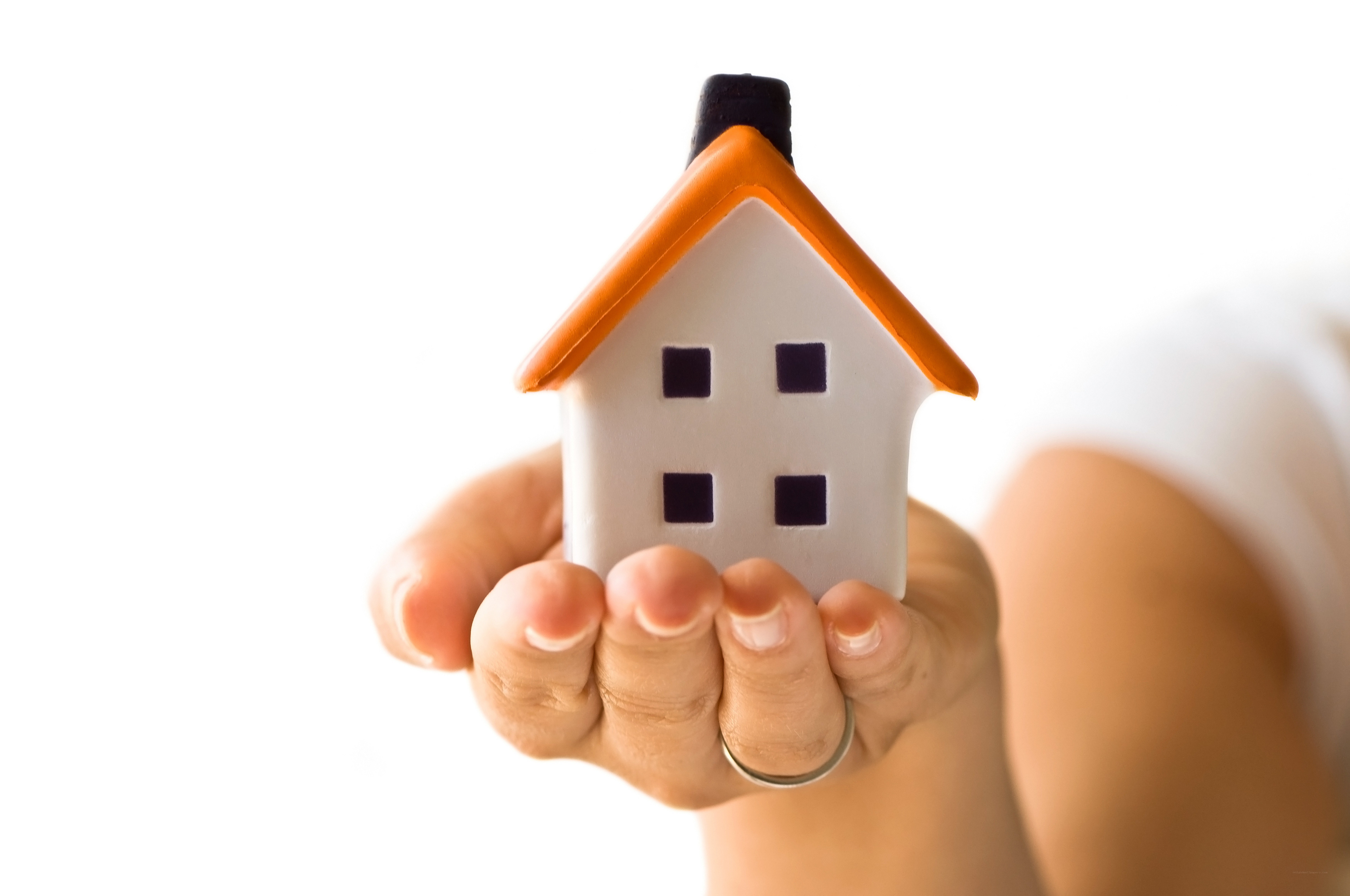 hand holding toy house