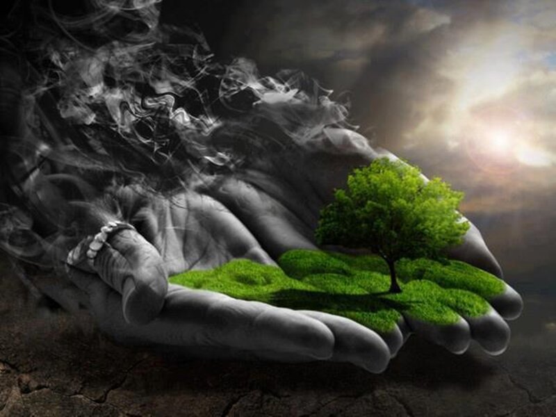 Hand Holding Tree — Green