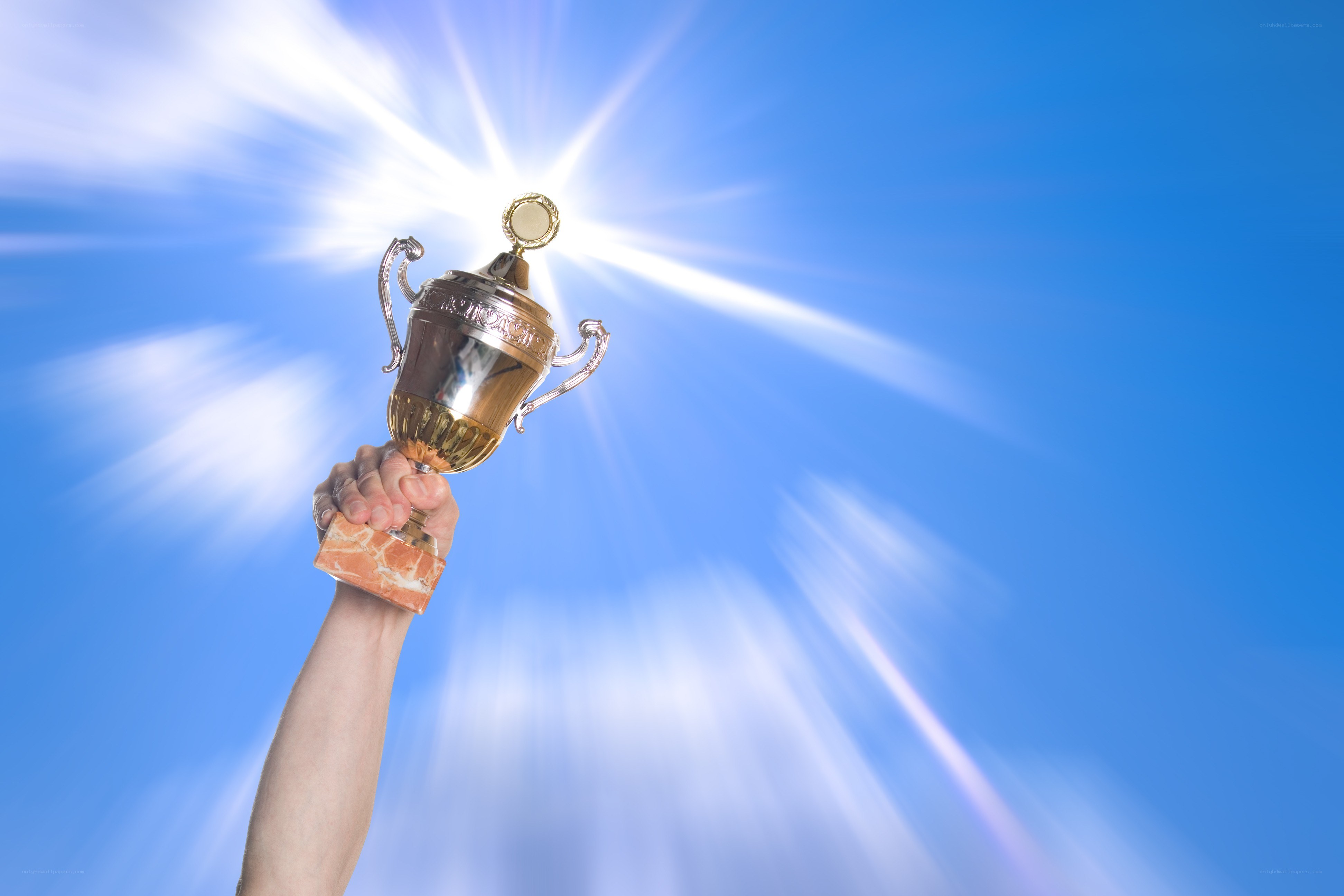 hand holding trophy against sky