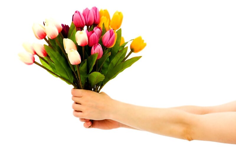hand holding tulip bouquet