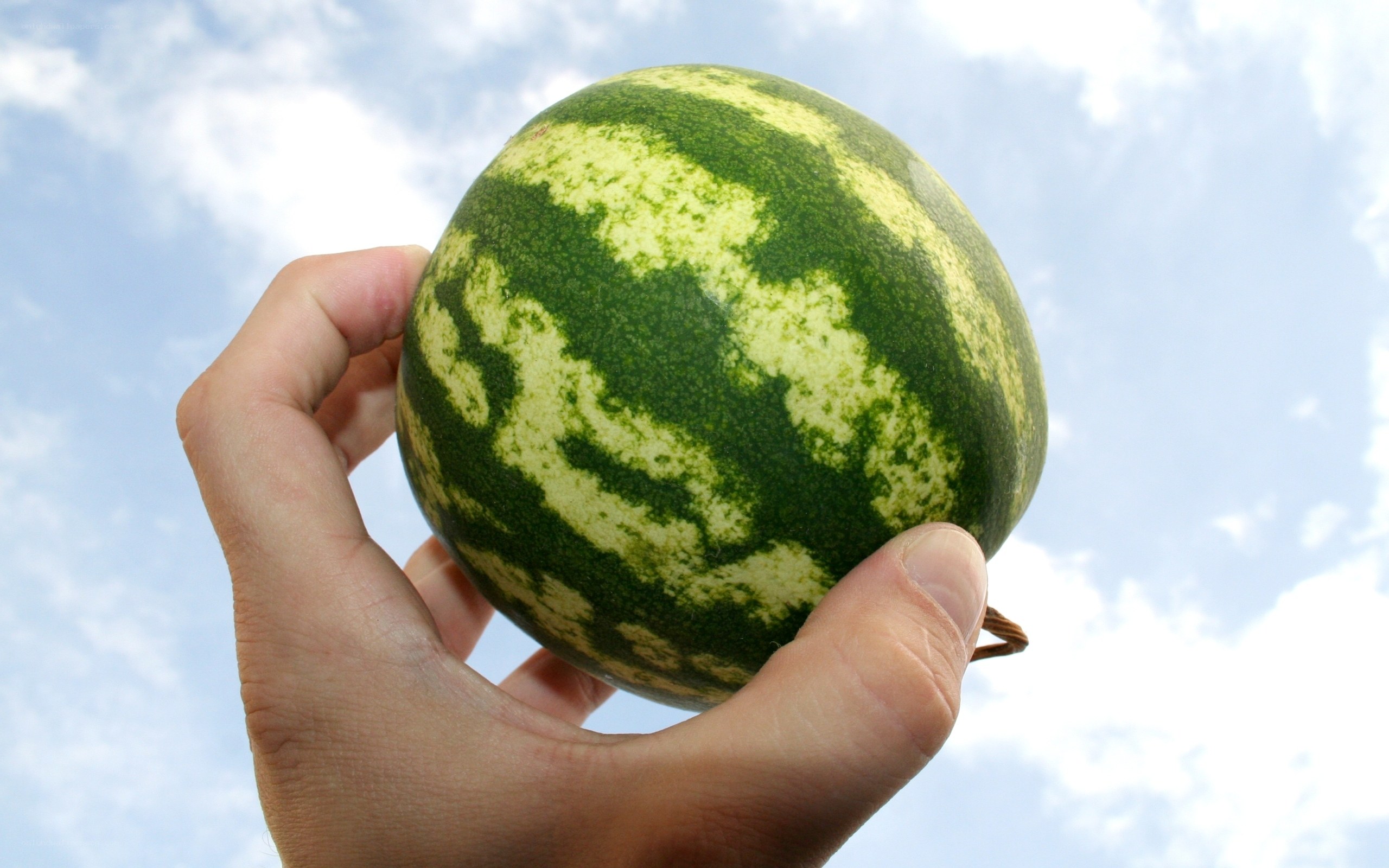 hand holding watermelon against sky