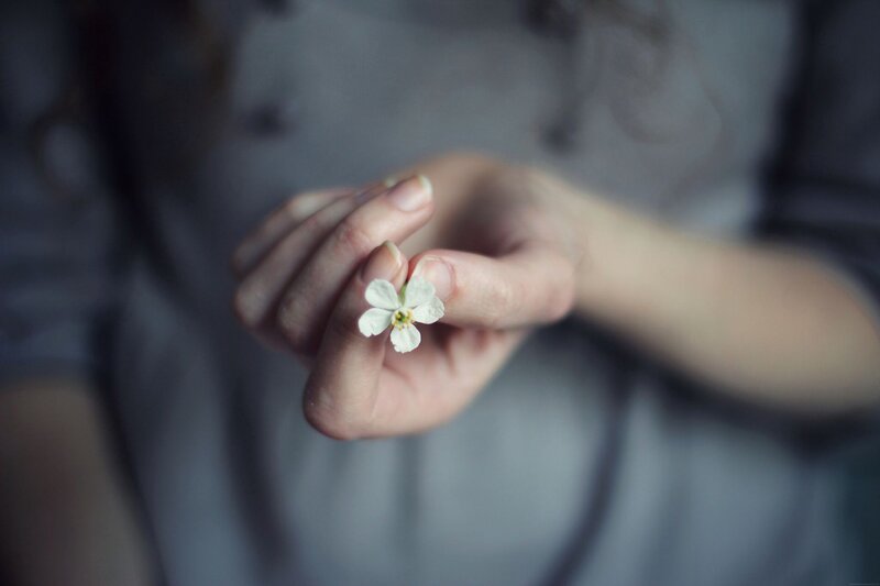 Hand Holding White Flower — Gray