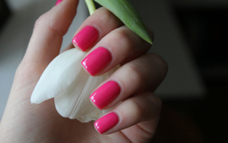 Hand Holding White Flower