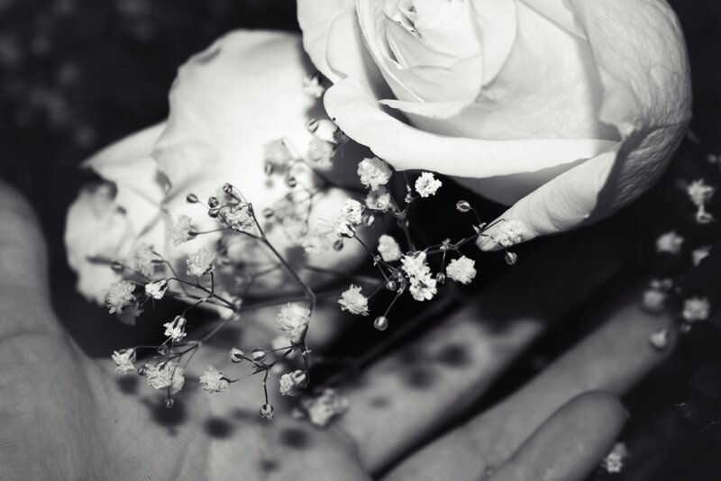 Hand Holding White Flowers — Black