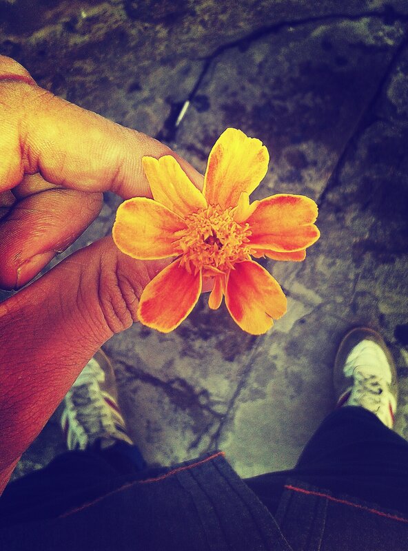 Hand Holding Yellow Flower — Calm, Photograph