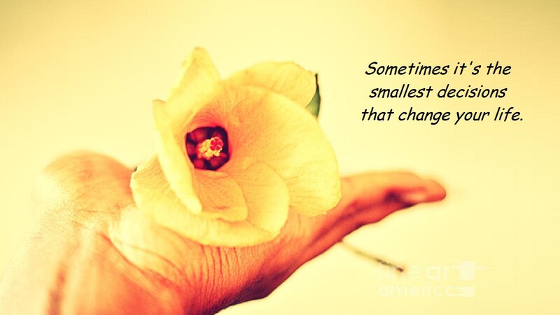 Hand Holding Yellow Flower — Calm