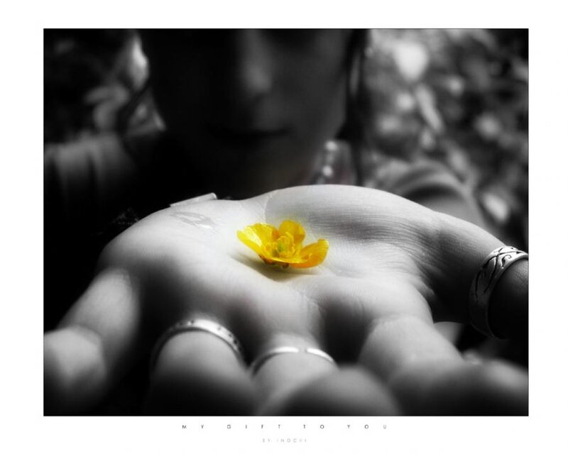 Hand Holding Yellow Flower — Serene
