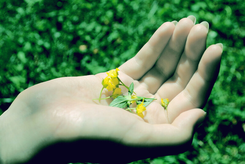 Hand Holding Yellow Flowers