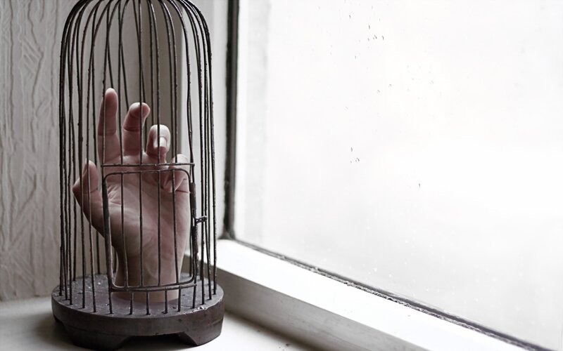 hand in a birdcage