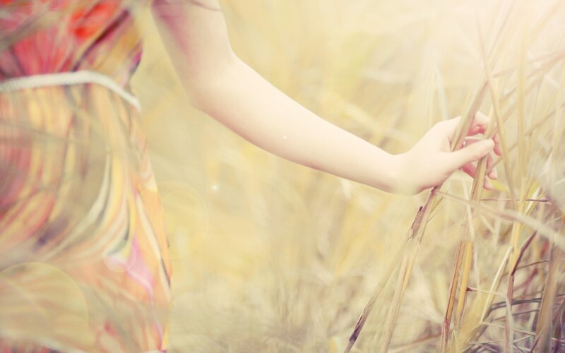hand in a field of grass