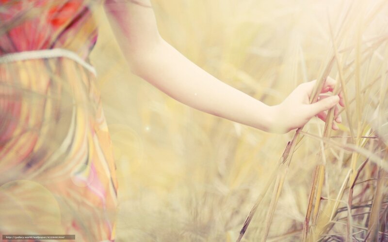 hand in a field of grass