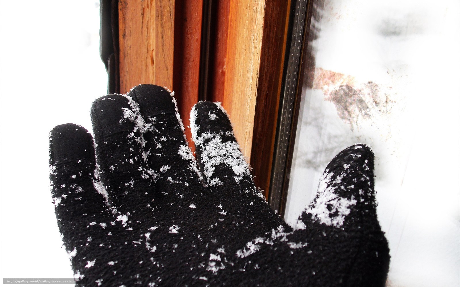 hand in snow by window
