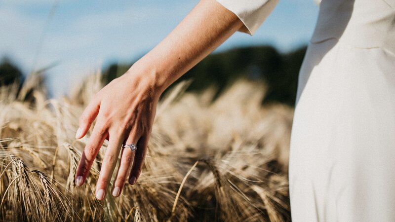 hand in wheat field