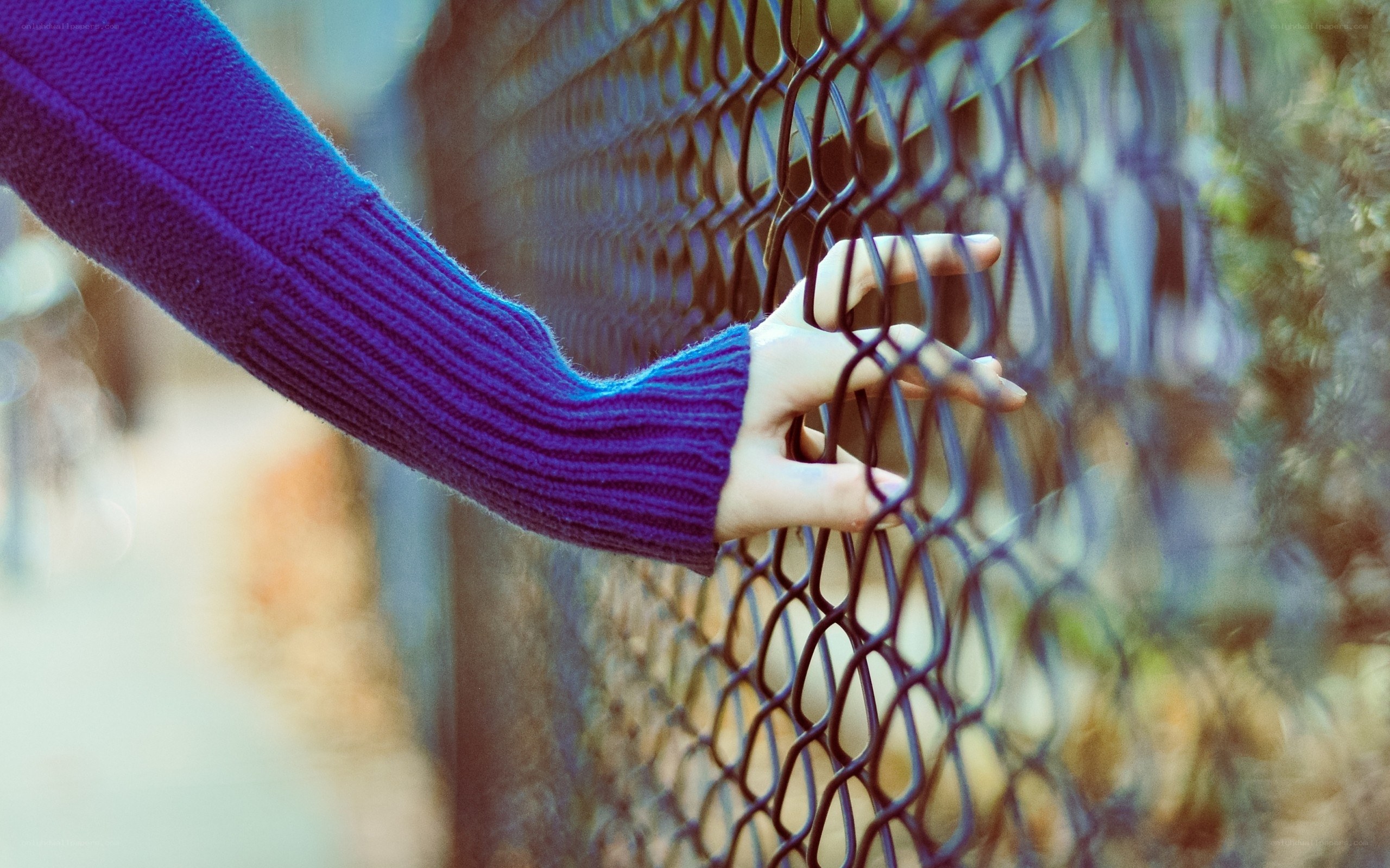 hand on chain-link fence